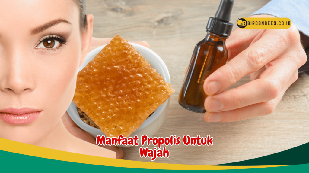 Manfaat Propolis Untuk Wajah