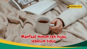 Manfaat minum teh hijau sebelum tidur