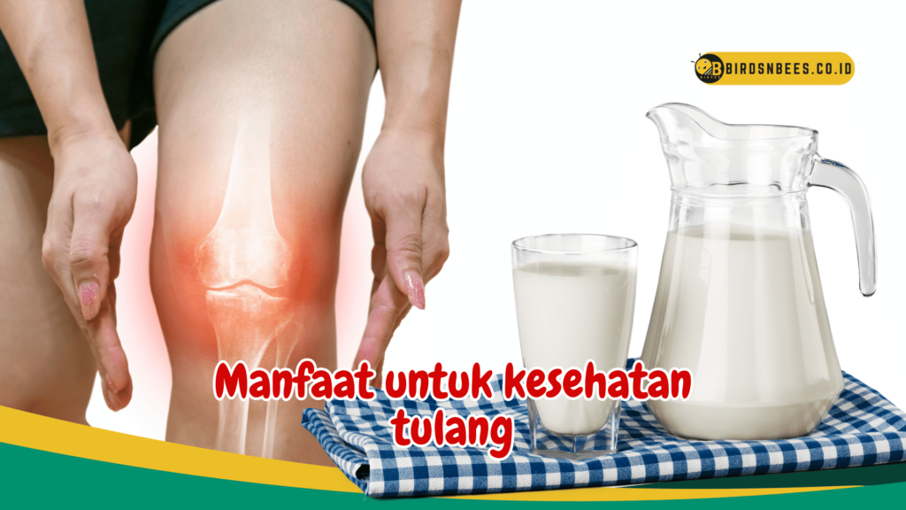 Manfaat untuk kesehatan tulang