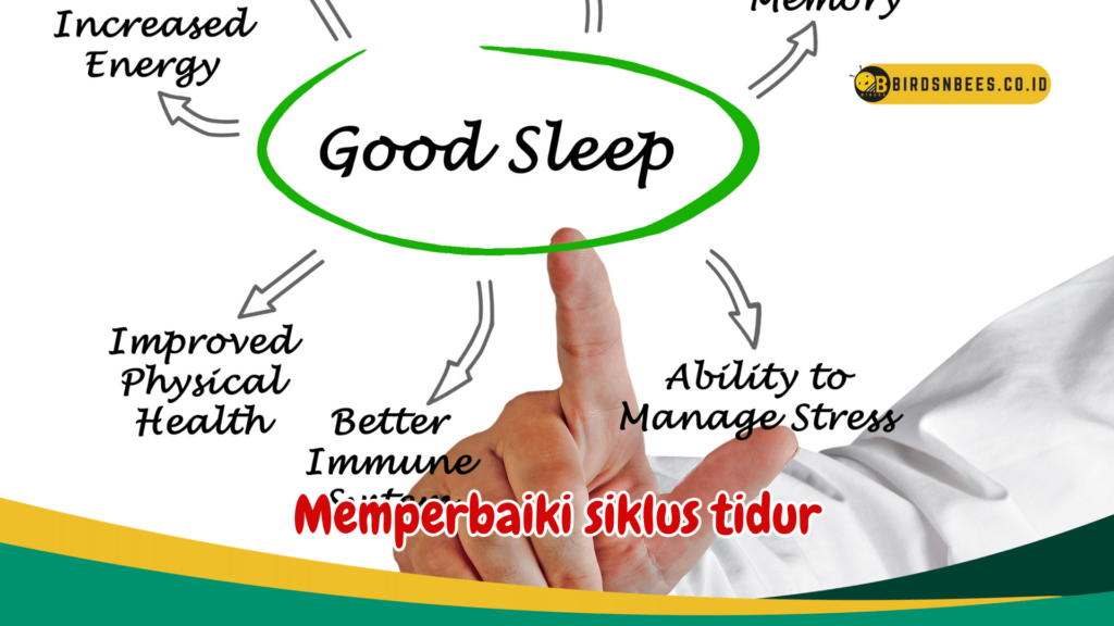 Memperbaiki siklus tidur