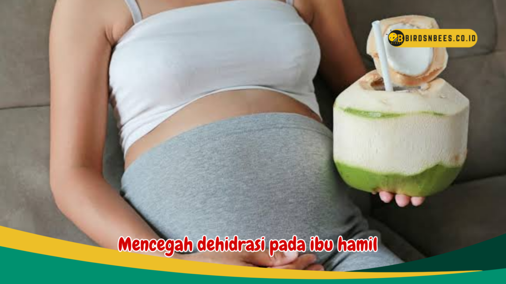 4 Manfaat Air Kelapa Untuk Kesehatan Ibu Hamil Dan Janin Birds N Bees