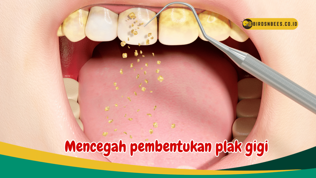 Mencegah pembentukan plak gigi