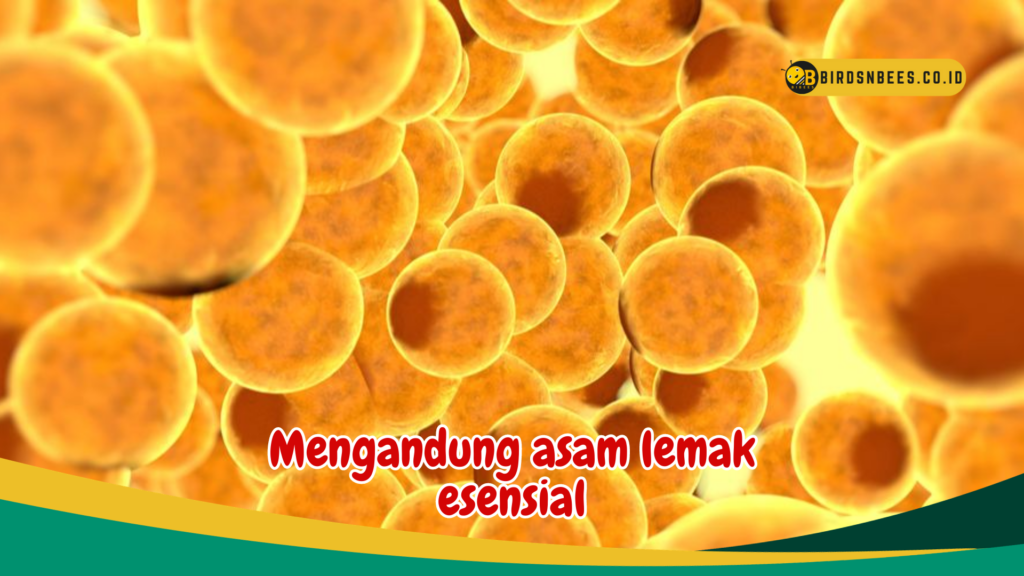 Mengandung asam lemak esensial