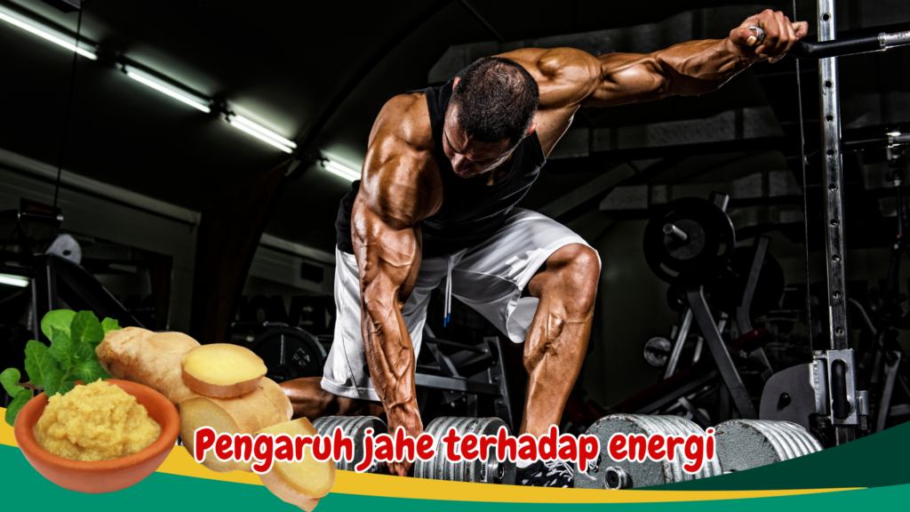 Pengaruh jahe terhadap energi