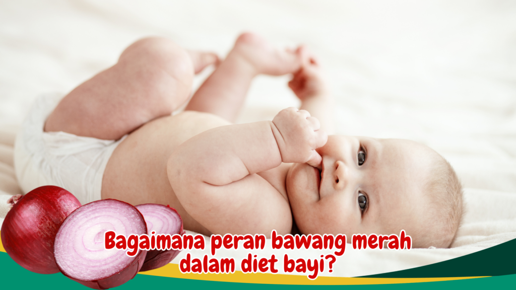 Bagaimana peran bawang merah dalam diet bayi?