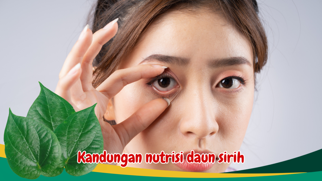 Kandungan nutrisi daun sirih