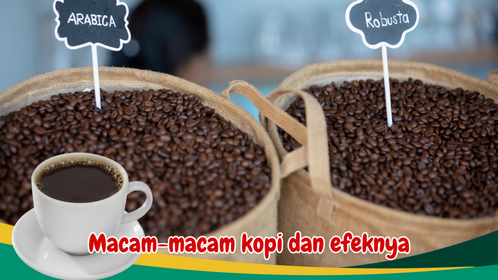 Macam-macam kopi dan efeknya