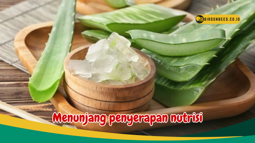 Menunjang penyerapan nutrisi