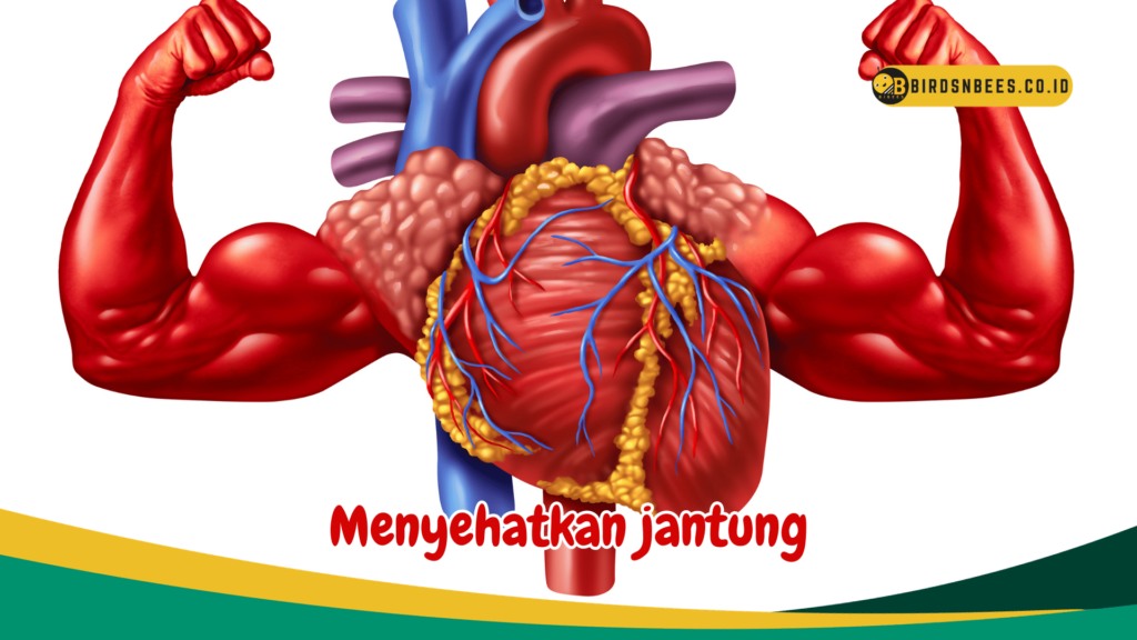 Menyehatkan jantung