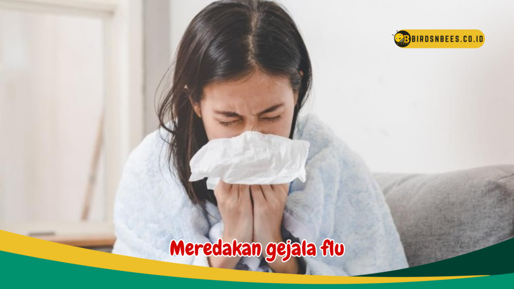 Meredakan gejala flu