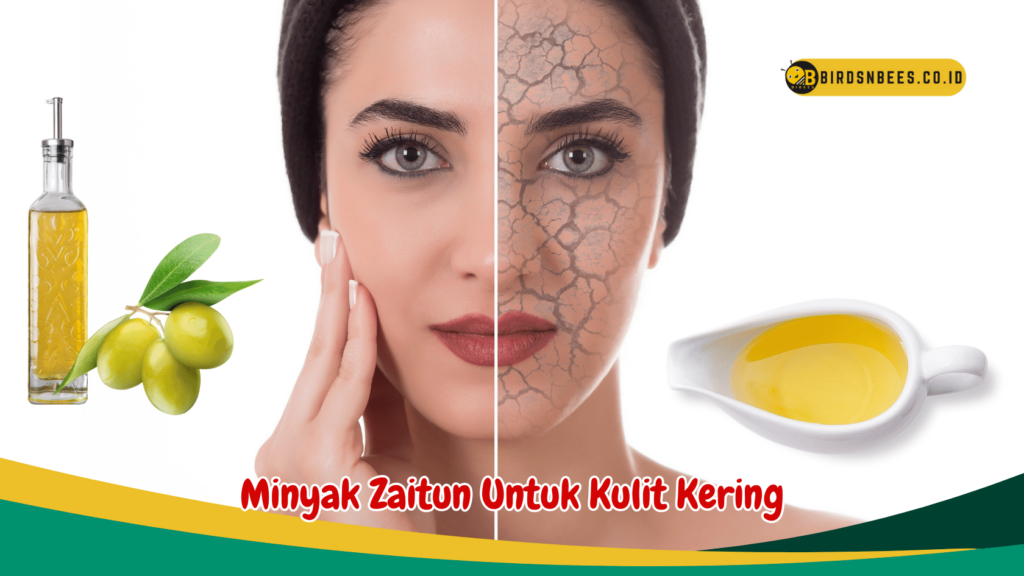 Minyak Zaitun Untuk Kulit Kering