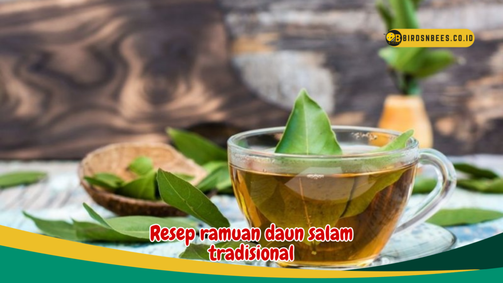 Resep ramuan daun salam tradisional