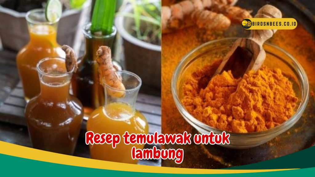 Resep temulawak untuk lambung