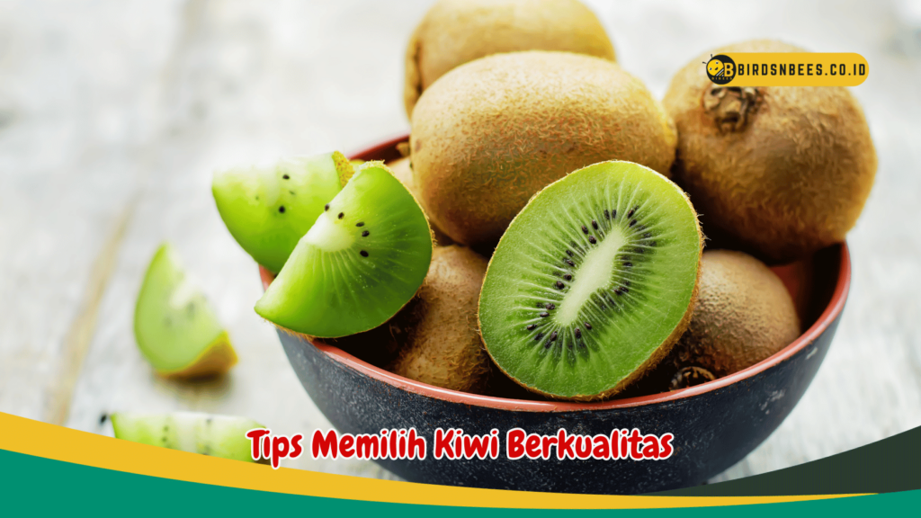 Tips Memilih Kiwi Berkualitas