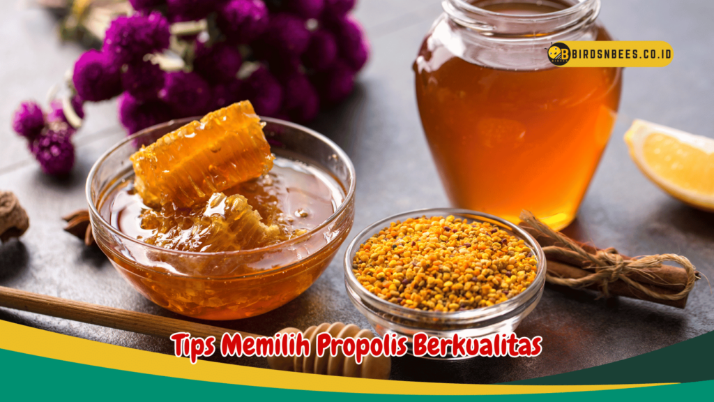 Tips Memilih Propolis Berkualitas