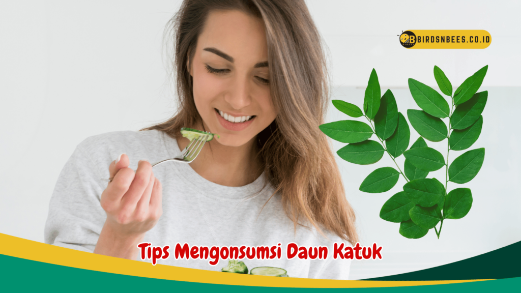 Tips Mengonsumsi Daun Katuk