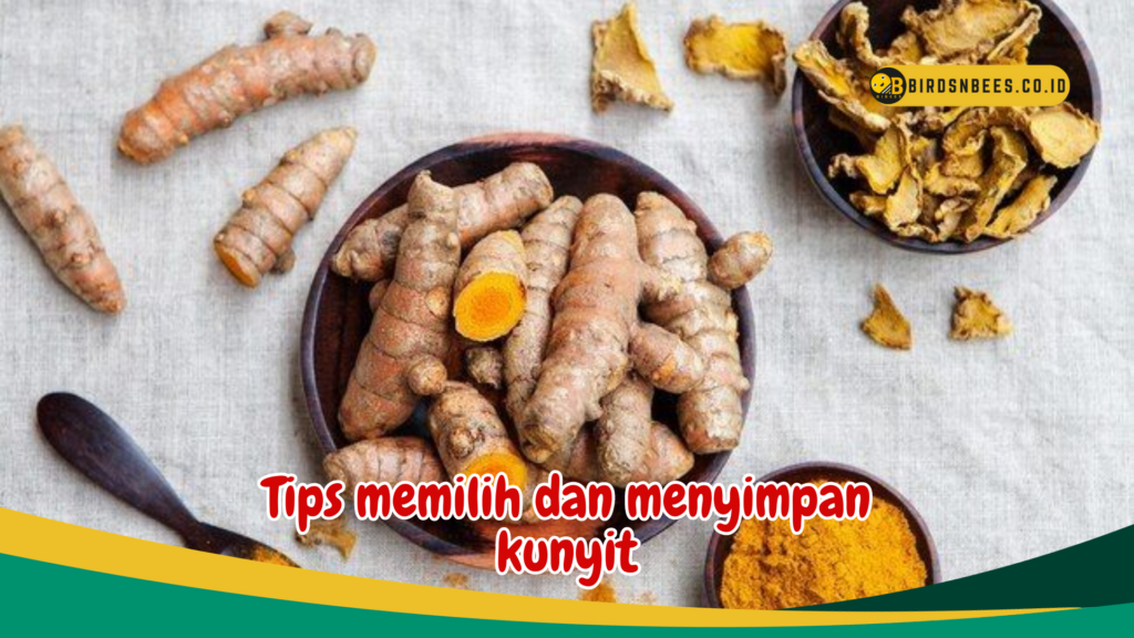 Tips memilih dan menyimpan kunyit