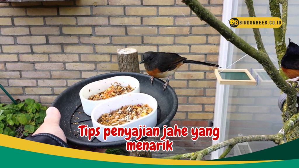 Tips penyajian jahe yang menarik