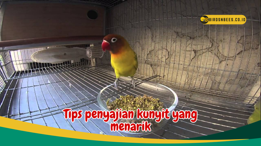 Tips penyajian kunyit yang menarik