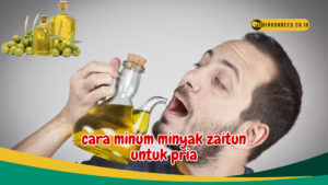 cara minum minyak zaitun untuk pria