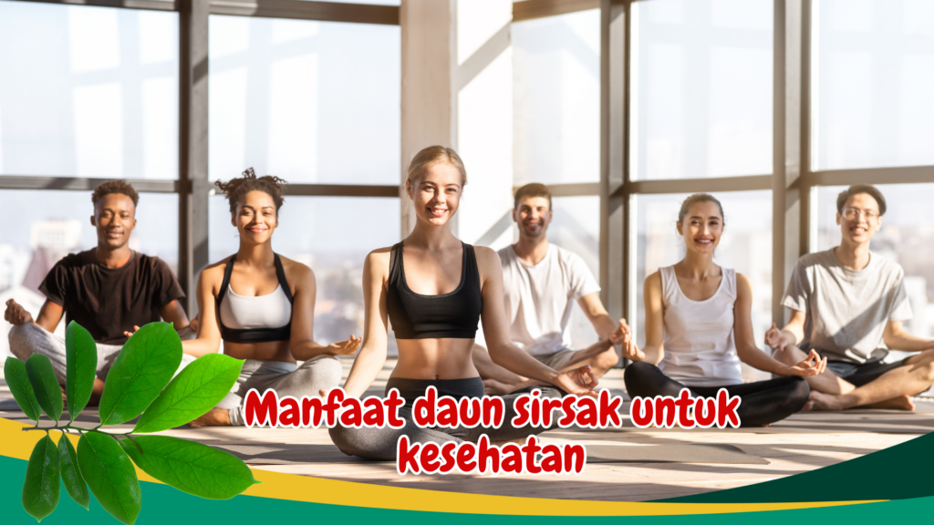 Manfaat daun sirsak untuk kesehatan