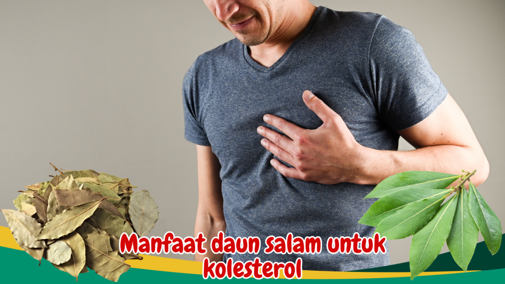 Manfaat daun salam untuk kolesterol