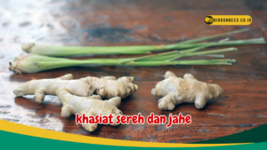 khasiat sereh dan jahe