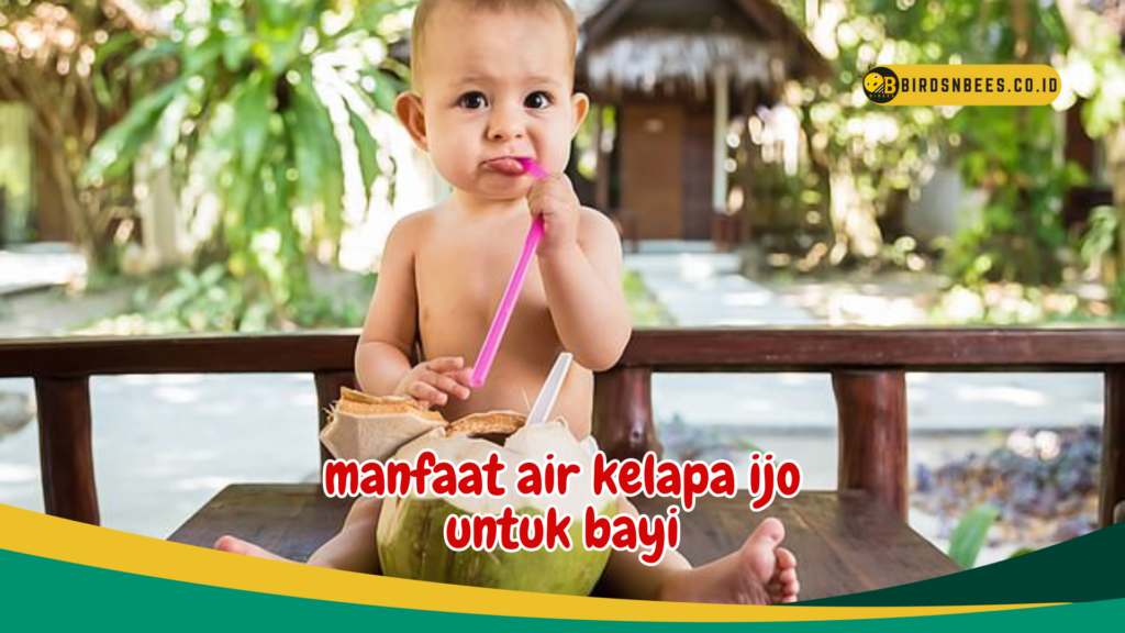 manfaat air kelapa ijo untuk bayi