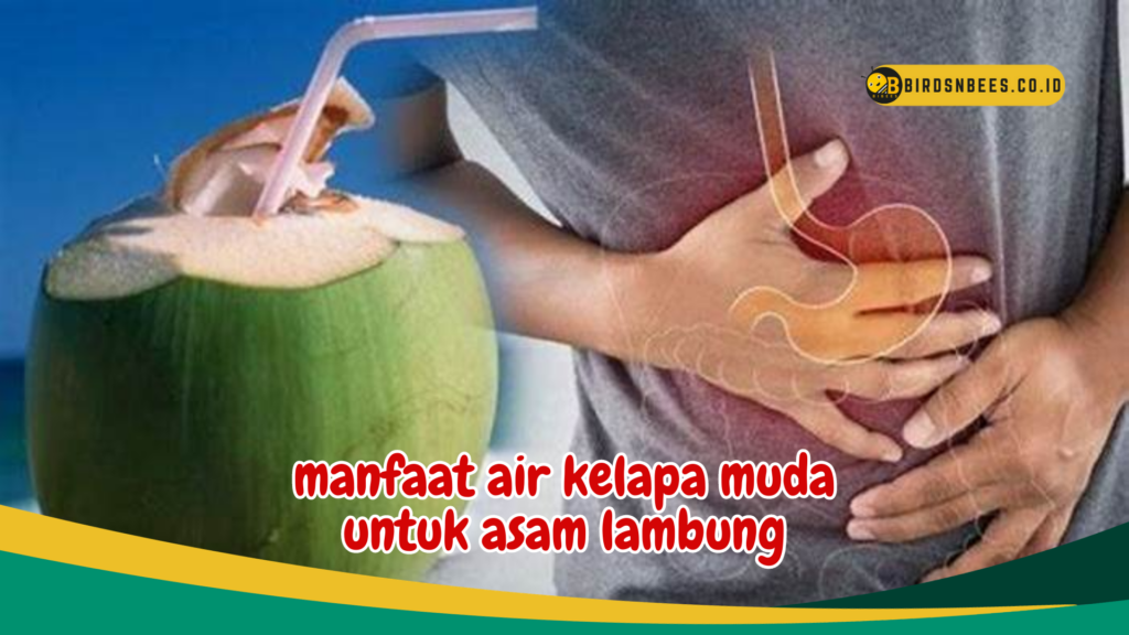 manfaat air kelapa muda untuk asam lambung