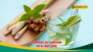 manfaat air rebusan serai dan jahe