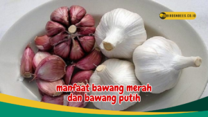 manfaat bawang merah dan bawang putih