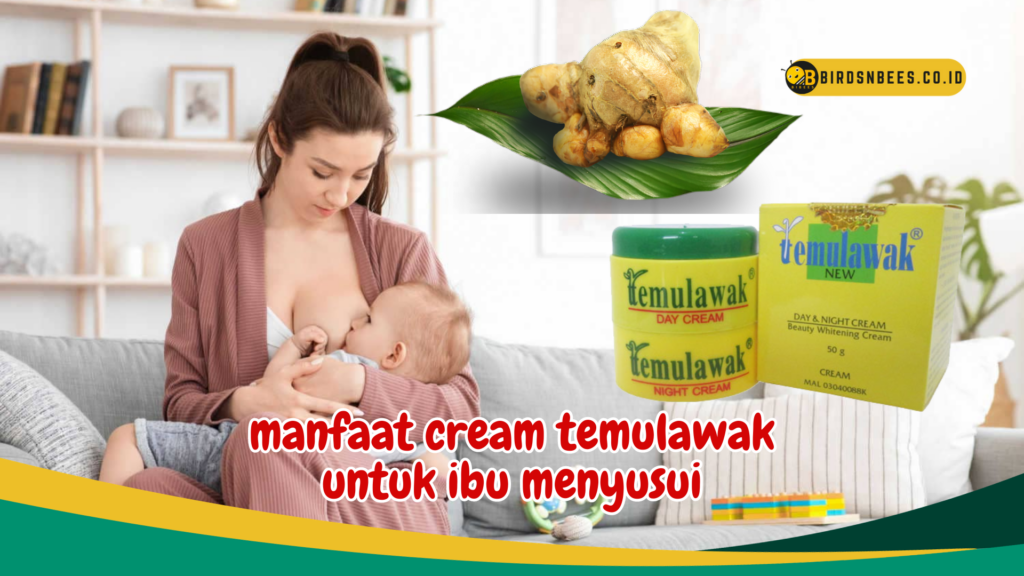 manfaat cream temulawak untuk ibu menyusui