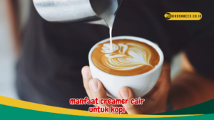 manfaat creamer cair untuk kopi