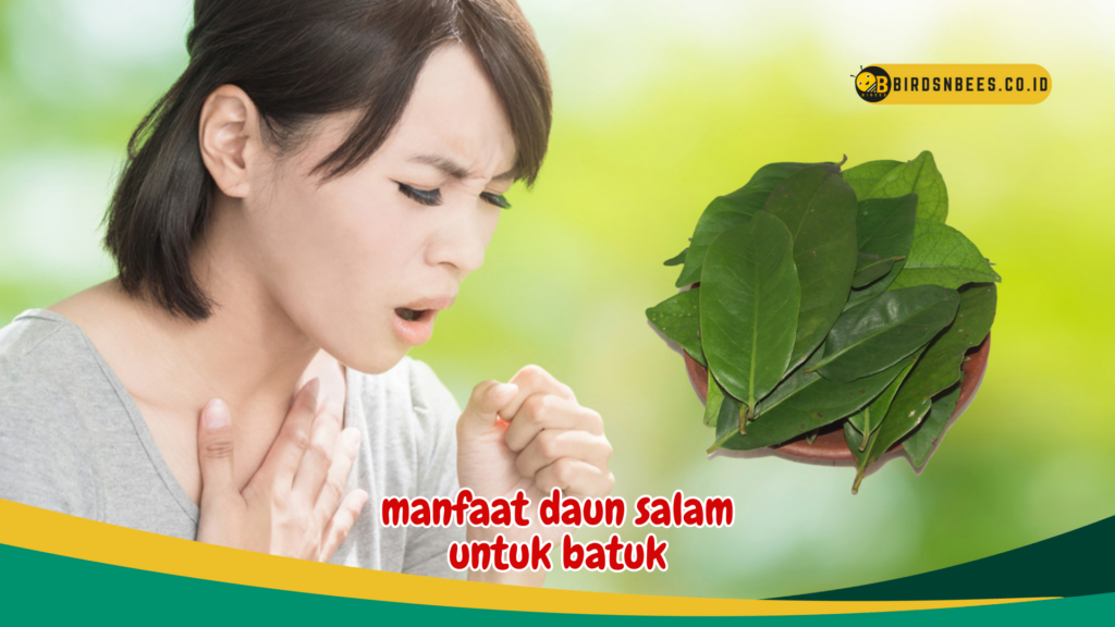 manfaat daun salam untuk batuk