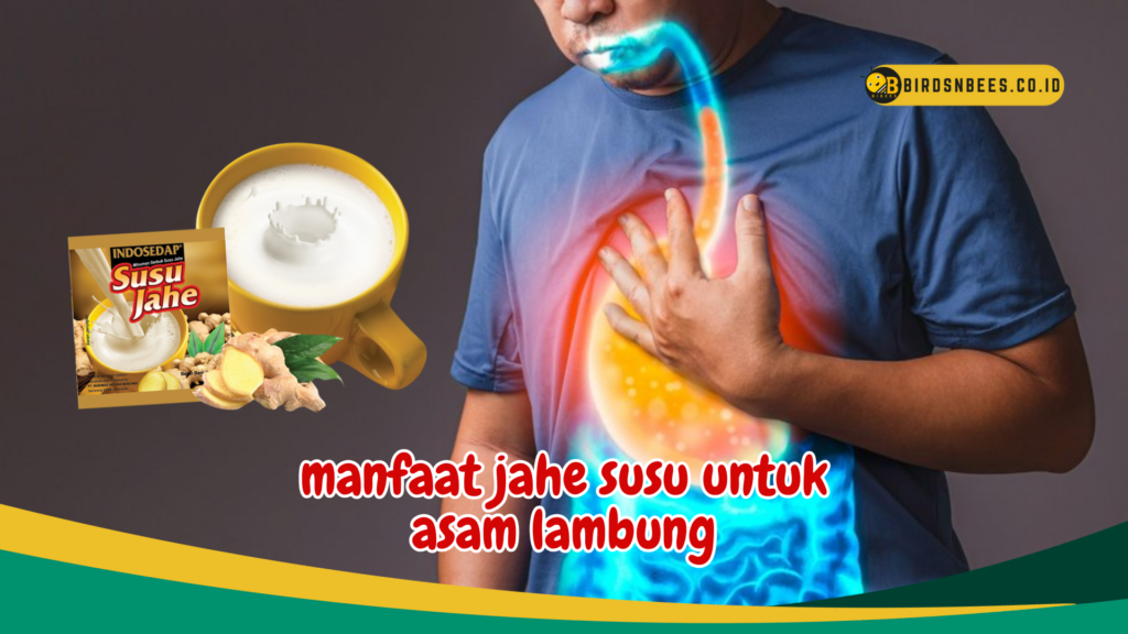 manfaat jahe susu untuk asam lambung