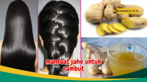 manfaat jahe untuk rambut