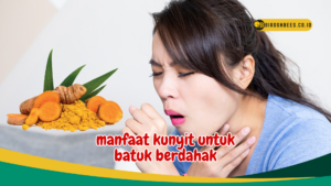 manfaat kunyit untuk batuk berdahak