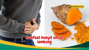 manfaat kunyit untuk lambung