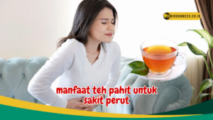 manfaat teh pahit untuk sakit perut